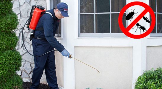 Köse Karınca İlaçlama böcek ilaçlama ve haşere kontrolü — ilaclama-tr.com